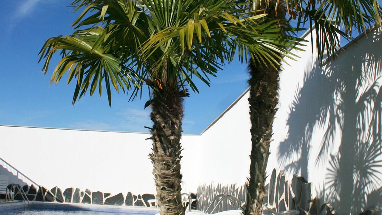 Photo of Outdoor in Galvez