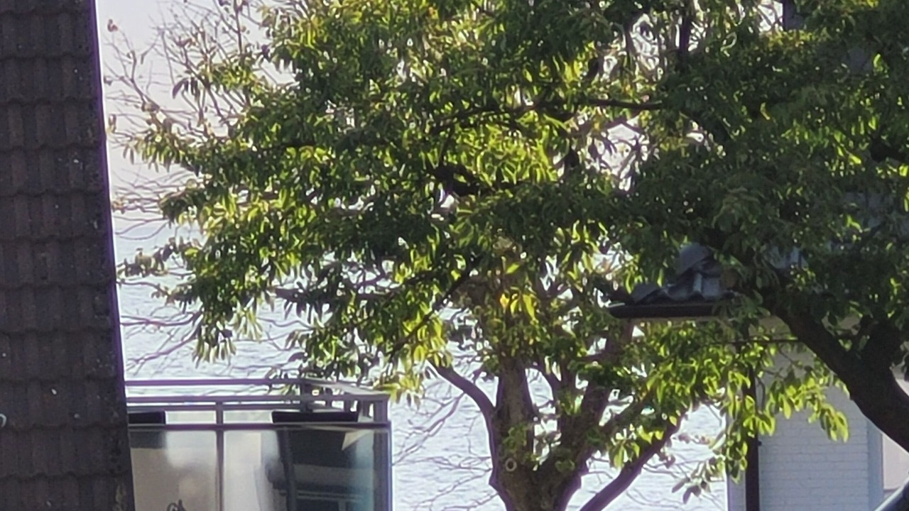 Photo of Others in Schilksee