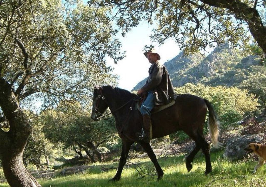 Photo of Others in Alcuescar