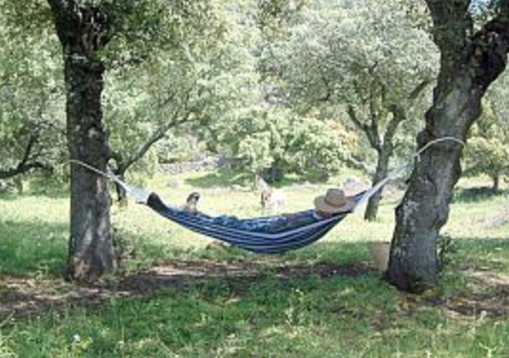 Photo of Outdoor in Alcuescar