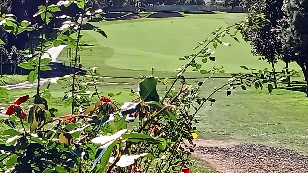 Photo of Others in Santa Barbara