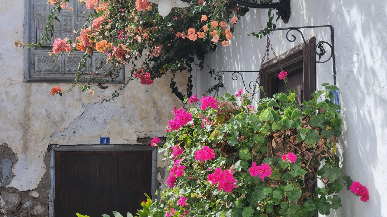 Photo of Others in Santa Barbara