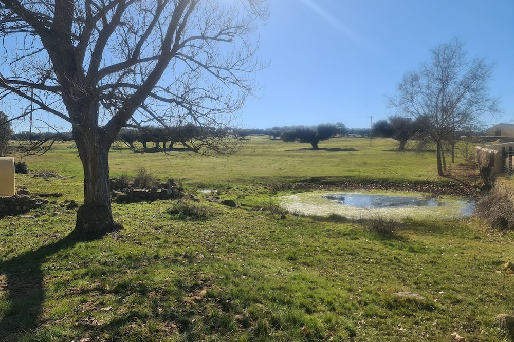 Photo of Outdoor in Terradillos