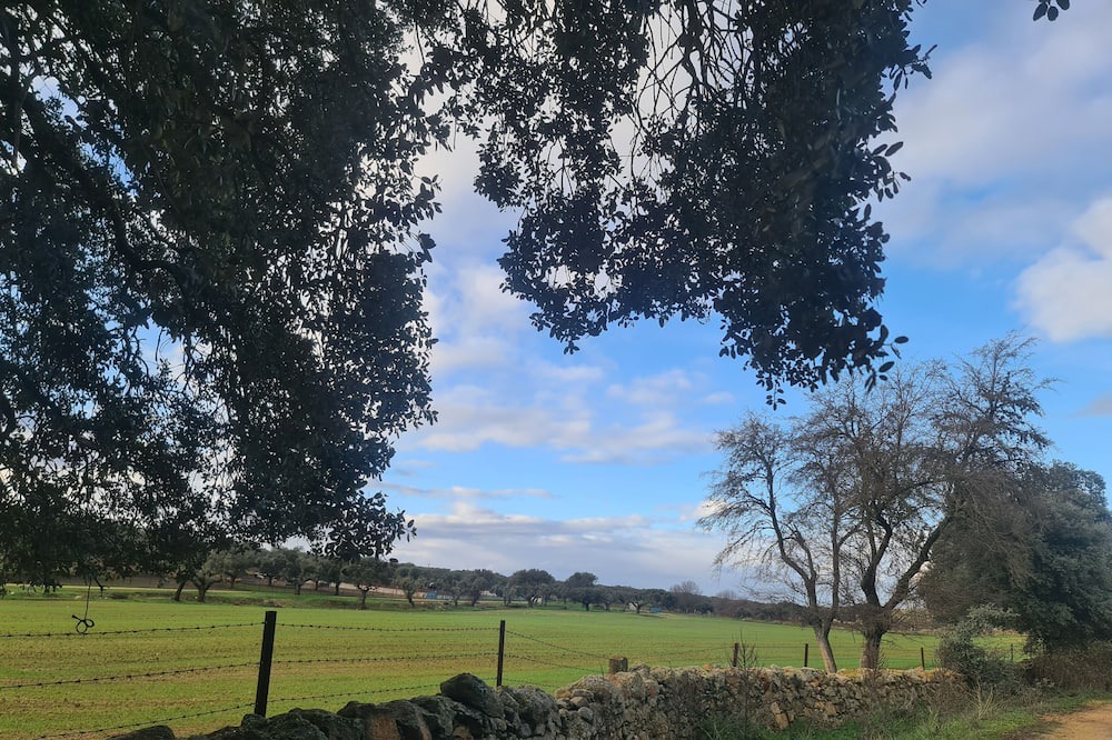 Photo of Outdoor in Terradillos