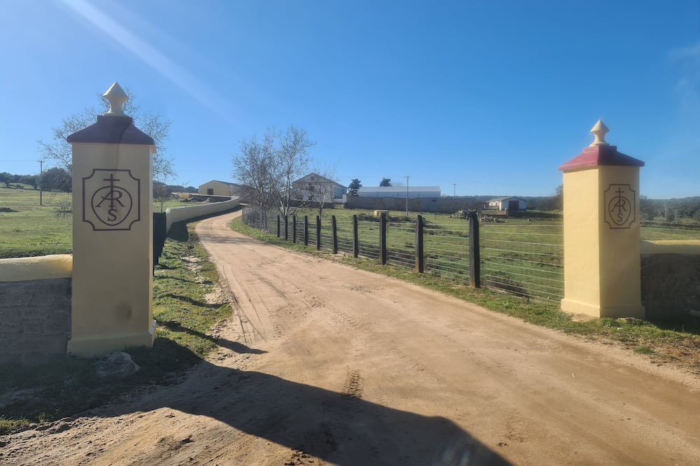 Photo of Outdoor in Terradillos