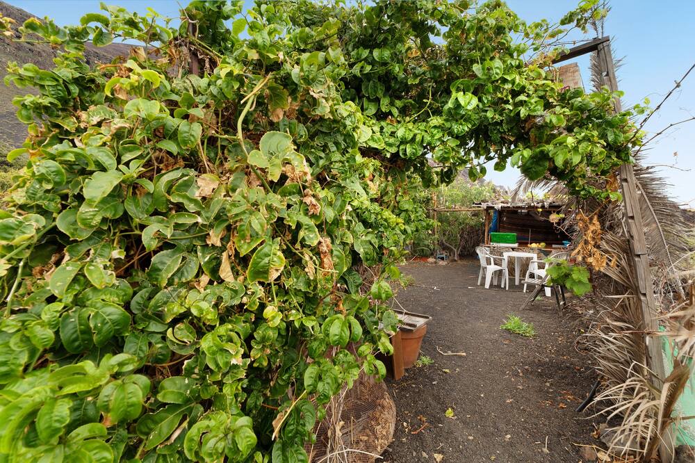 Photo of Outdoor in Tamaduste