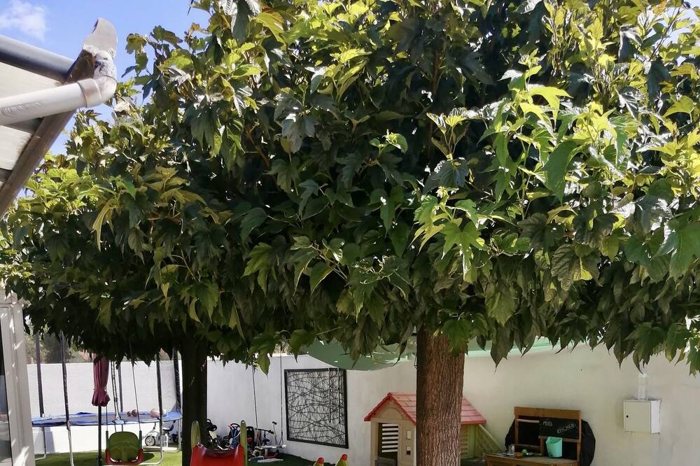 Photo of Outdoor in Marguerittes