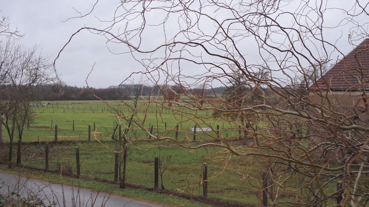 Photo of Outdoor in Bismark