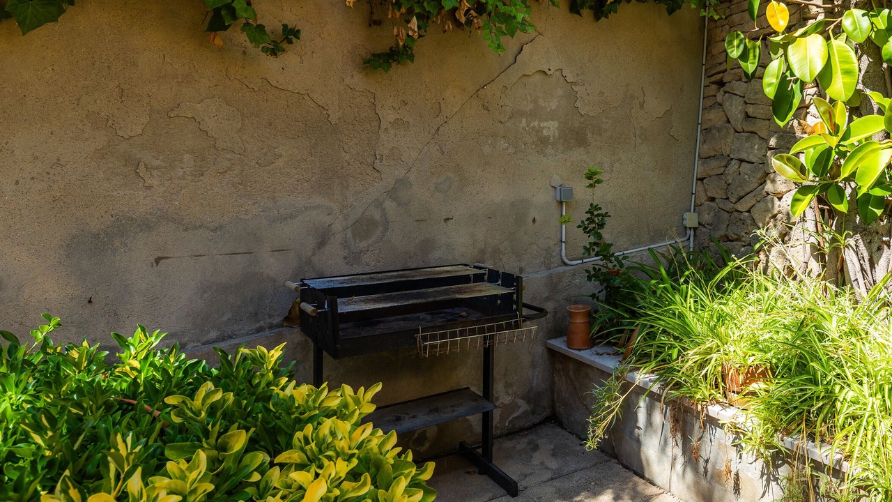 Photo of Outdoor in Cala San Vicente