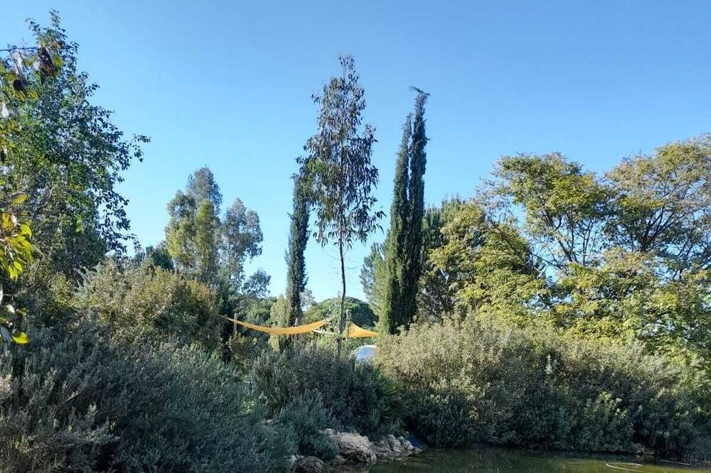 Photo of Others in Villamanrique de la Condesa