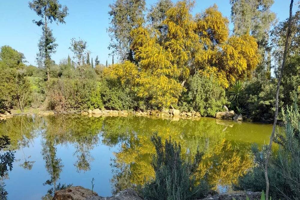 Photo of Outdoor in Villamanrique de la Condesa