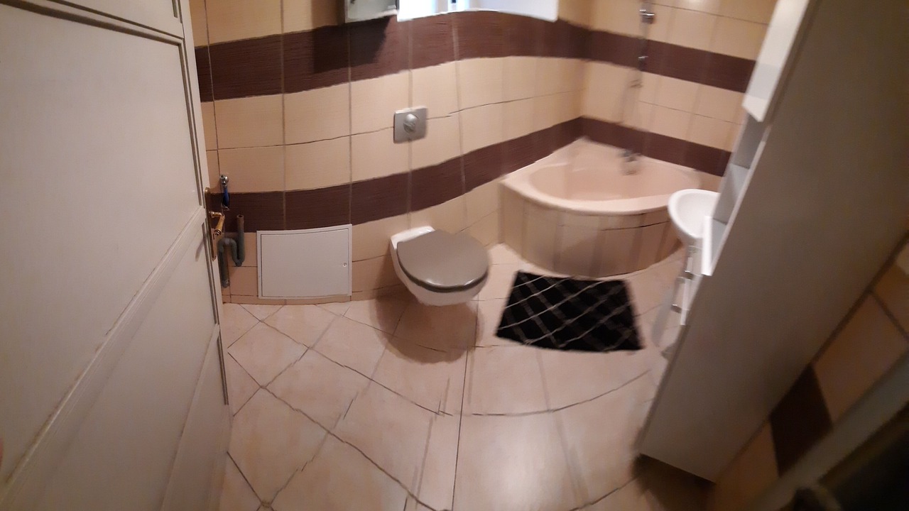 Photo of Bathroom in Dasle