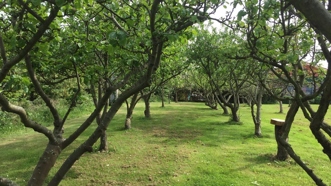 Photo of Outdoor in Villaviciosa