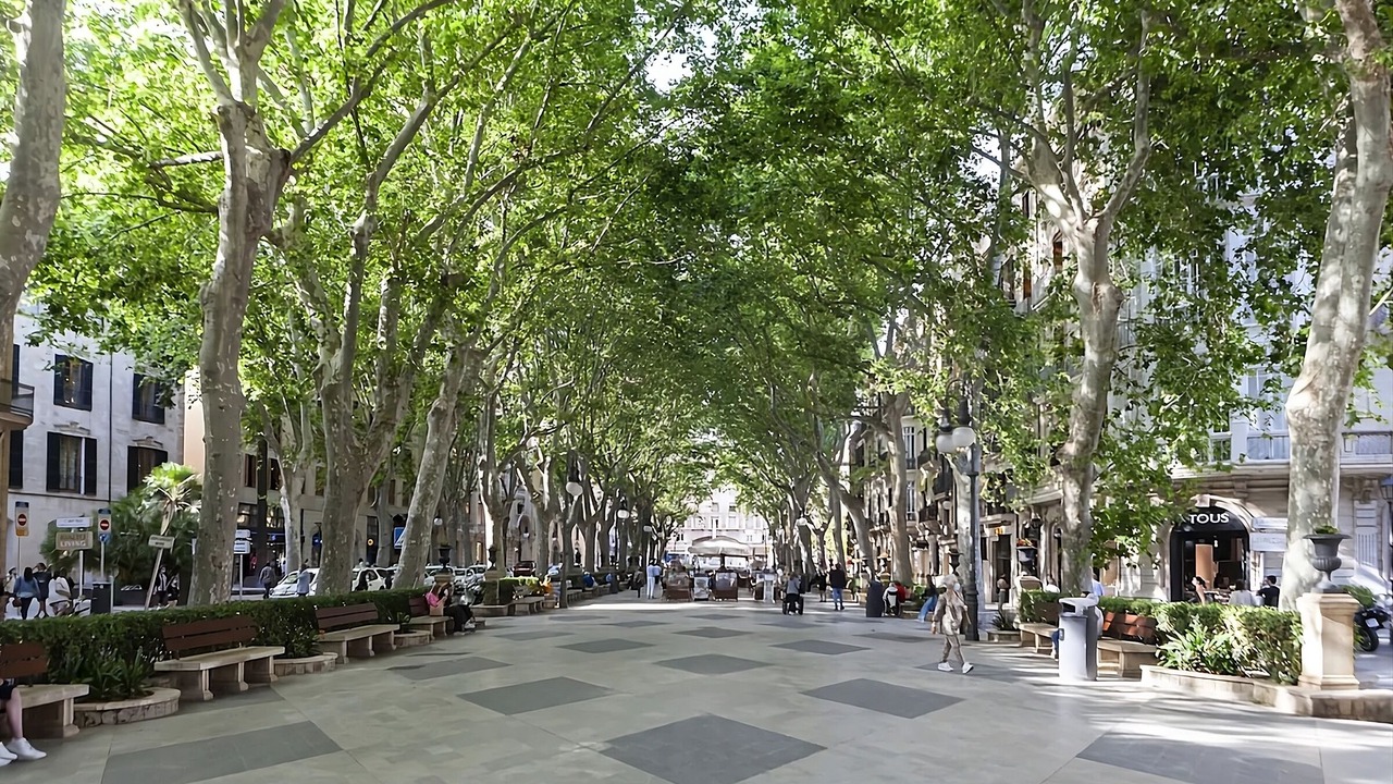 Photo of Outdoor in Sant Nicolau