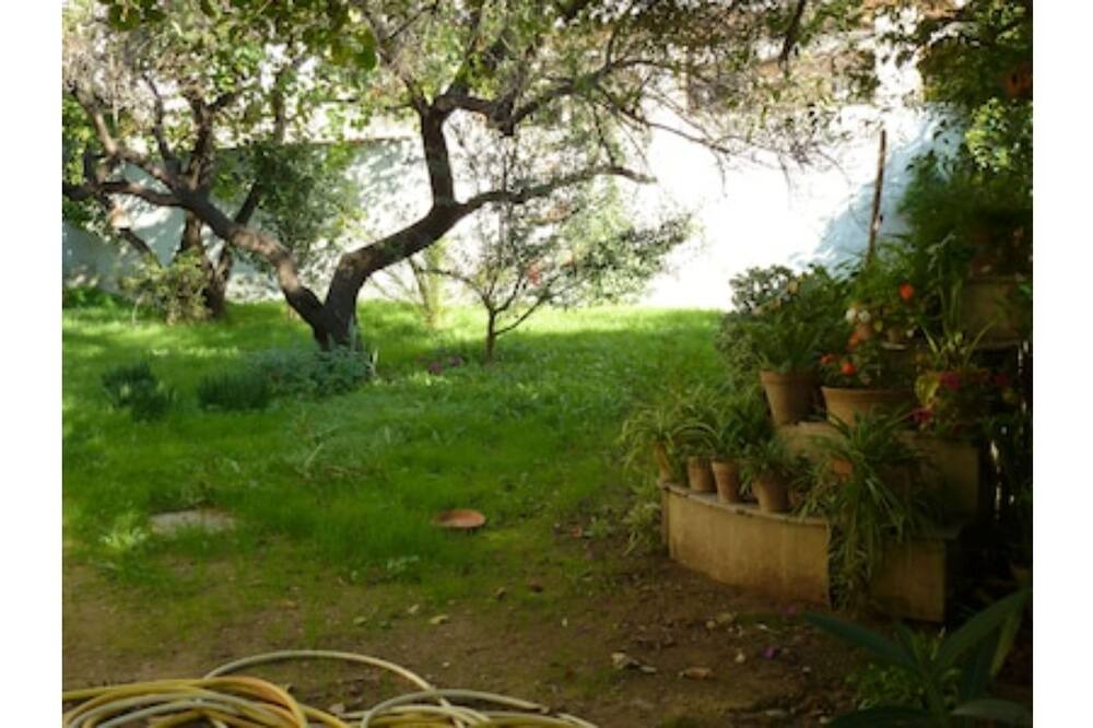 Photo of Outdoor in Playas del Palo
