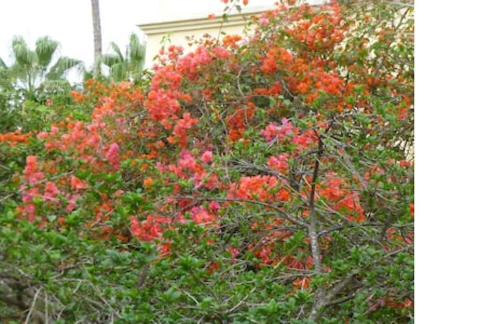 Photo of Outdoor in Playas del Palo