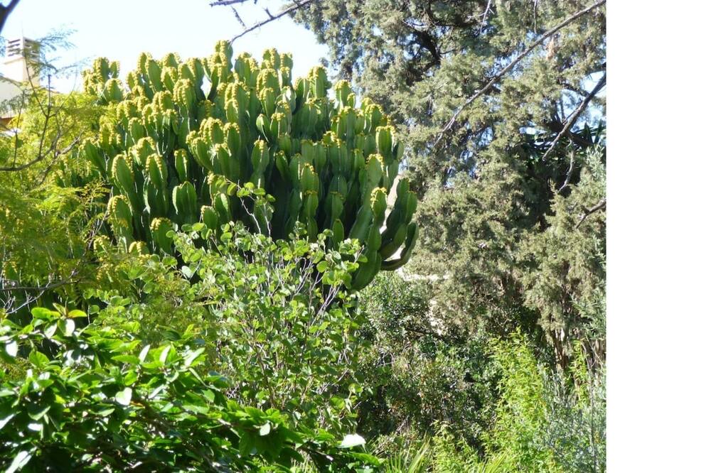 Photo of Outdoor in Playas del Palo