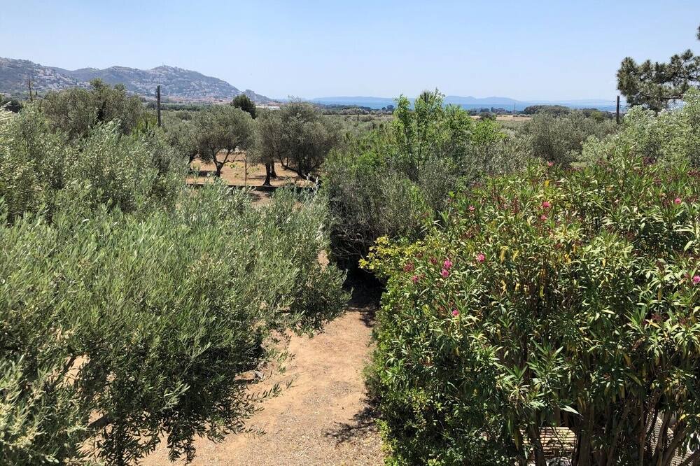 Photo of Outdoor in El Mas Bosca