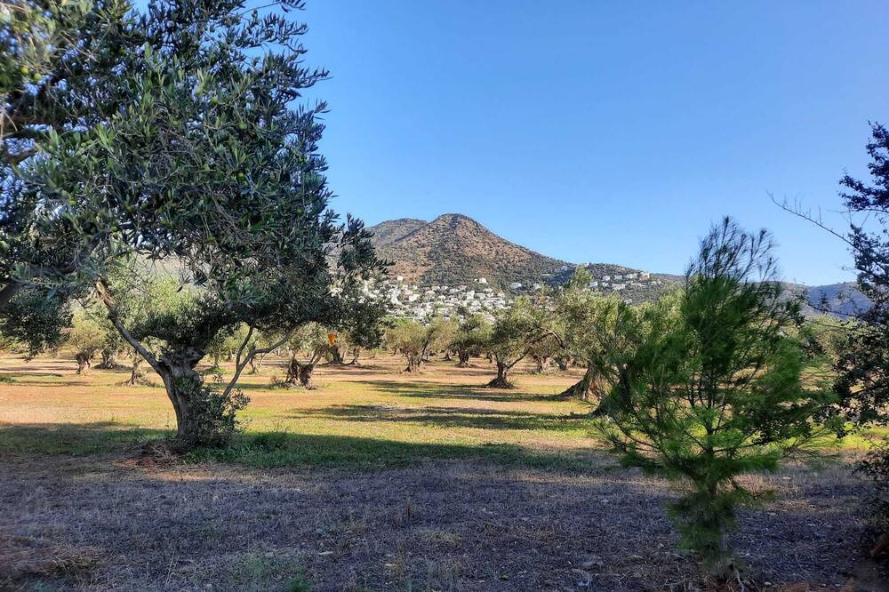 Photo of Outdoor in El Mas Bosca