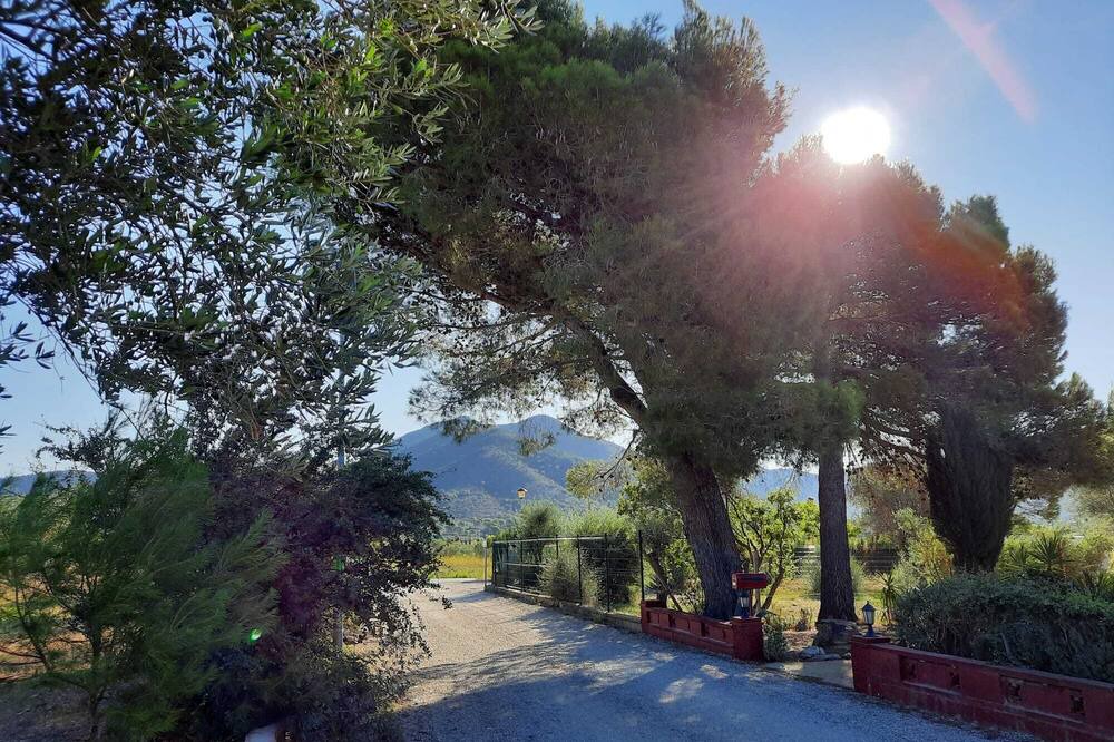 Photo of Outdoor in El Mas Bosca