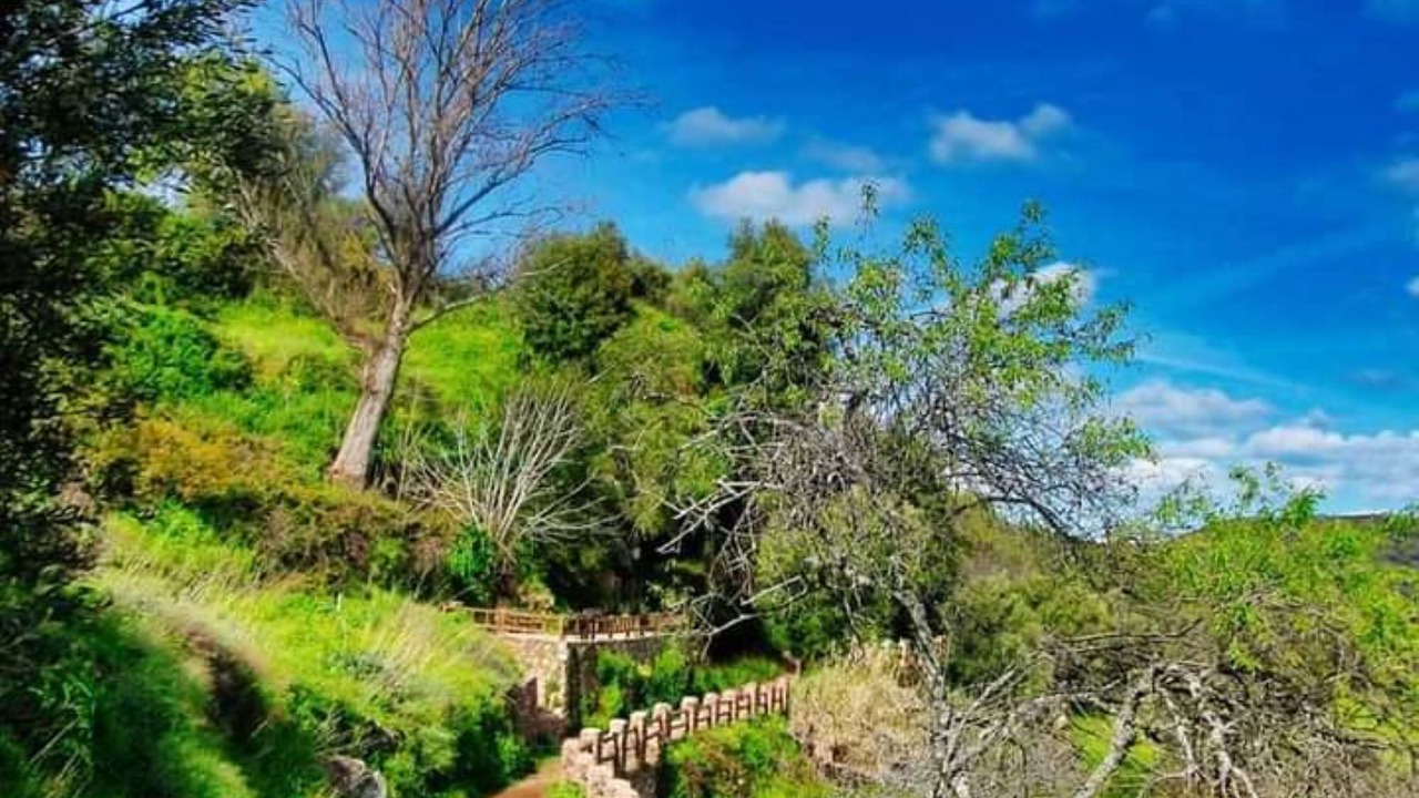 Photo of Outdoor in Higuera de la Sierra