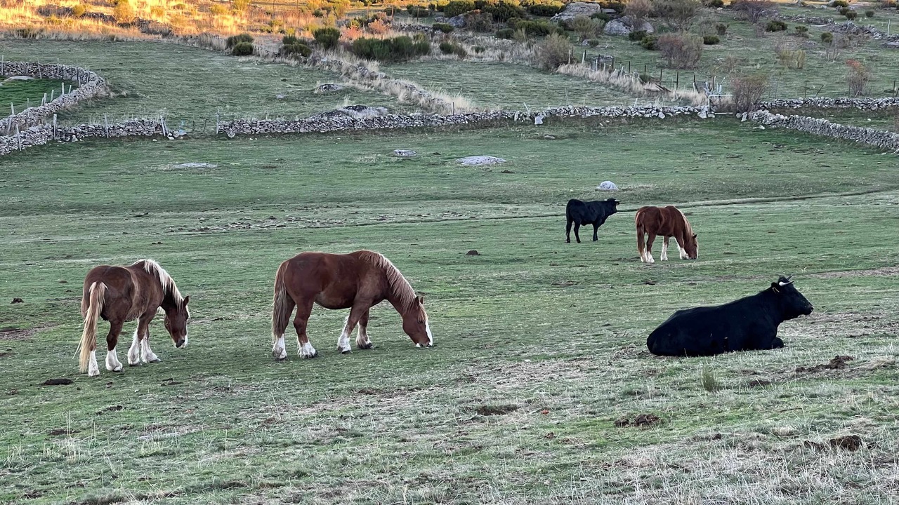Photo of Outdoor in Hoyos del Espino