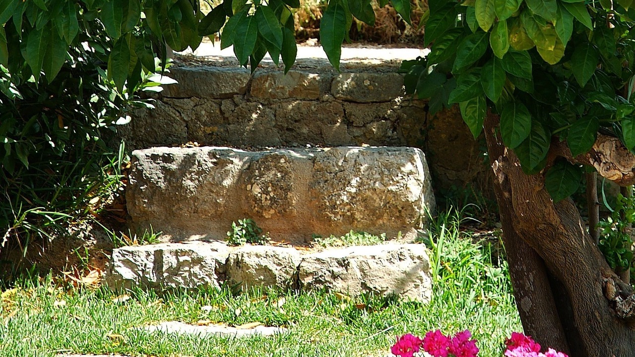 Photo of Outdoor in Bunyola