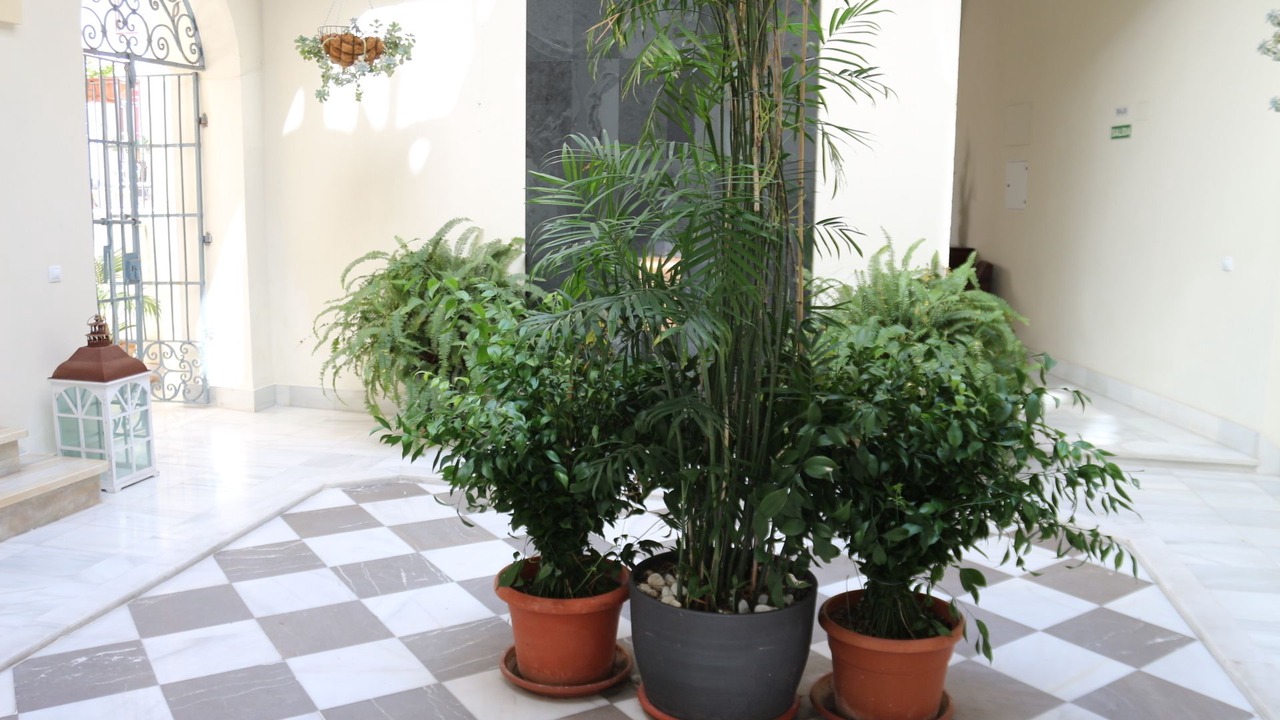 Photo of Outdoor in El Puerto de Santa Maria