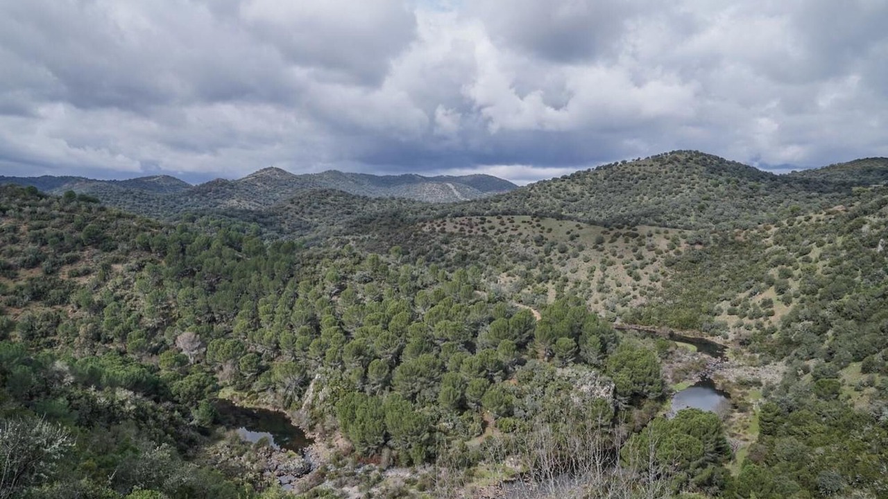 Photo of Outdoor in Las Jaras