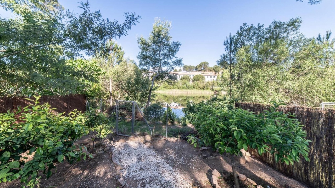 Photo of Outdoor in Las Jaras