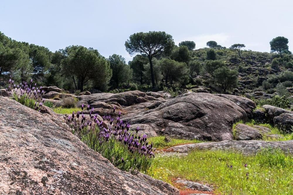 Photo of Outdoor in Las Jaras