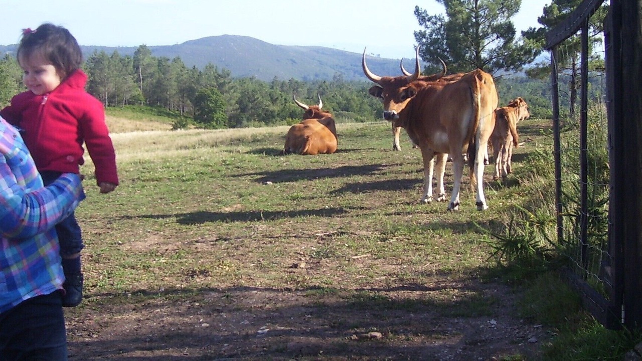 Photo of Others in O Irixo