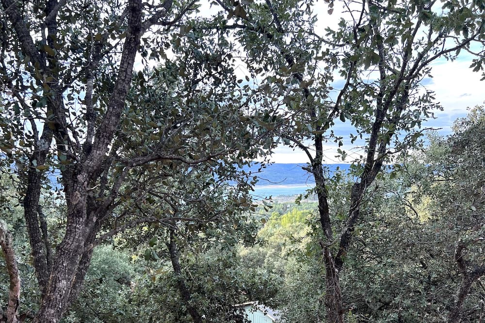 Photo of Outdoor in Pareja