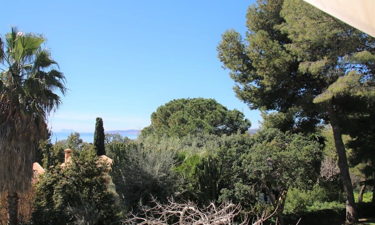 Photo of Others in Urbanizacion Puerto de Estepona