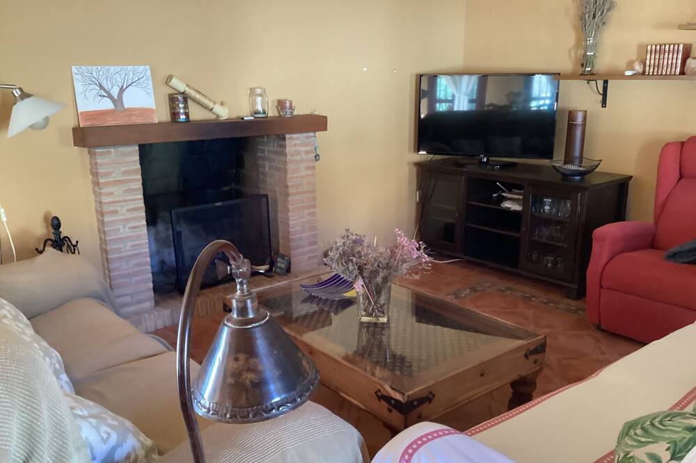 Photo of Livingroom in Pago de San Clemente