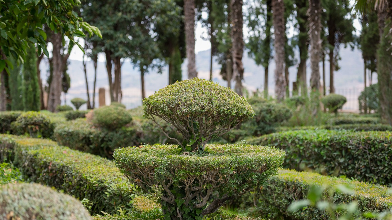 Photo of Outdoor in Brihuega