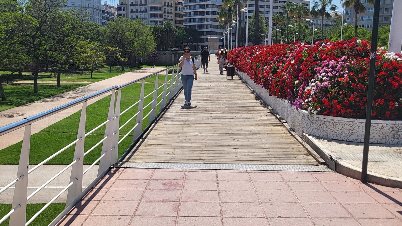 Photo of Outdoor in El Botanic