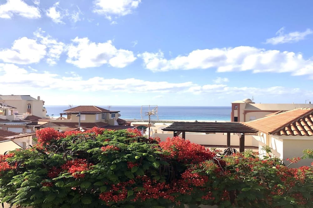 Photo of Outdoor in Solana del Matorral