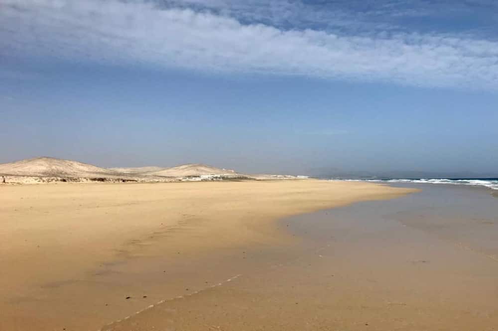 Photo of Others in Solana del Matorral