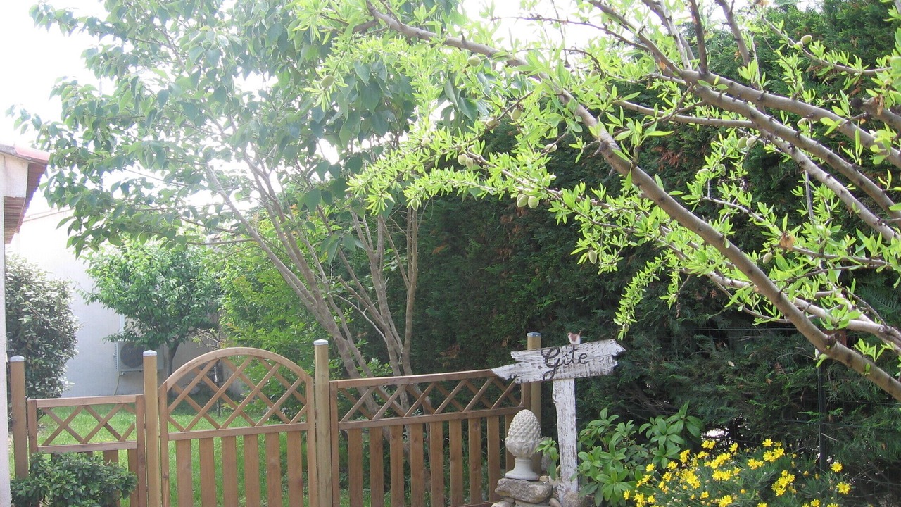 Photo of Outdoor in Pujaut