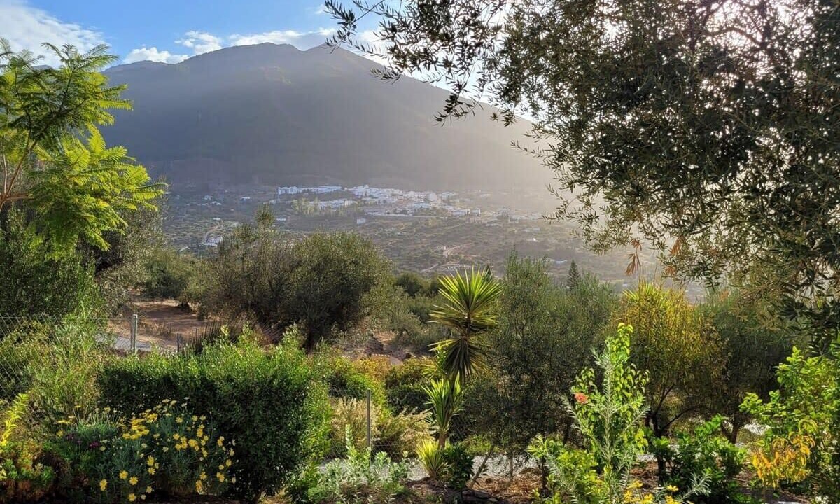 Photo of Outdoor in Vinuela