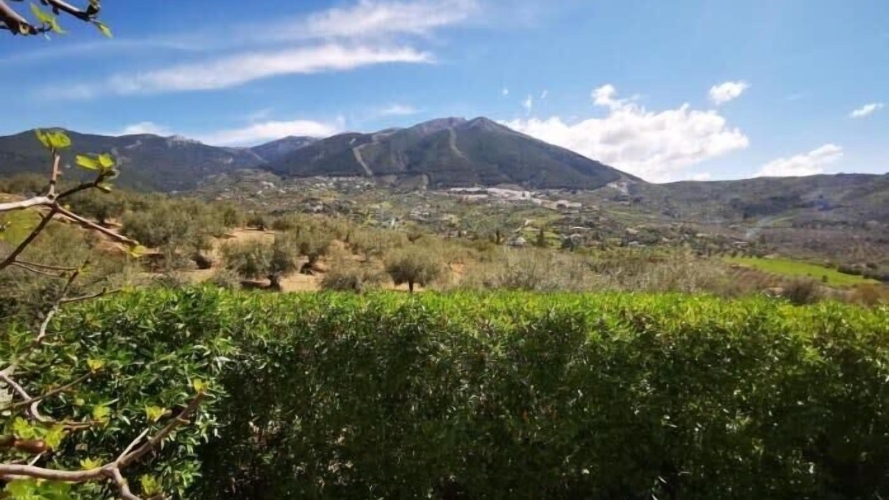 Photo of Outdoor in Vinuela