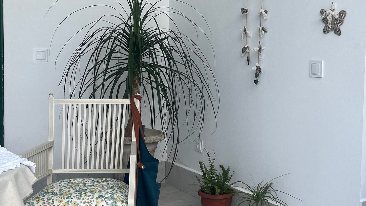 Photo of Patio Balcony in Medina de las Torres