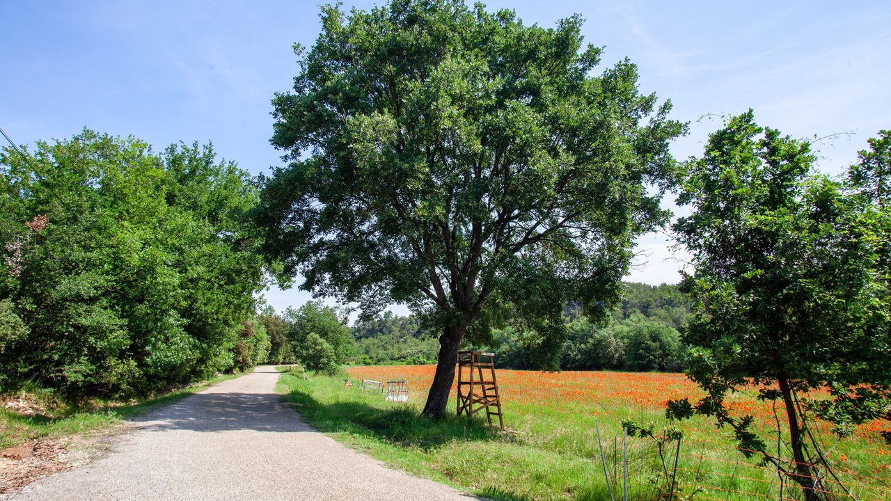 Photo of Outdoor in Peyrolles-en-Provence