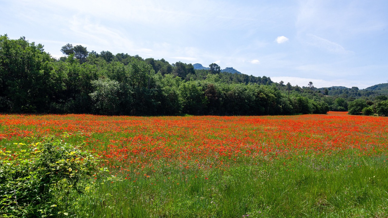 Photo of Outdoor in Peyrolles-en-Provence