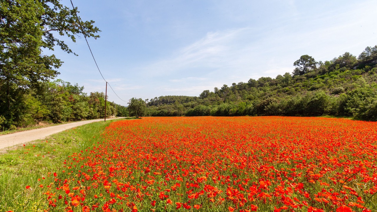 Photo of Outdoor in Peyrolles-en-Provence