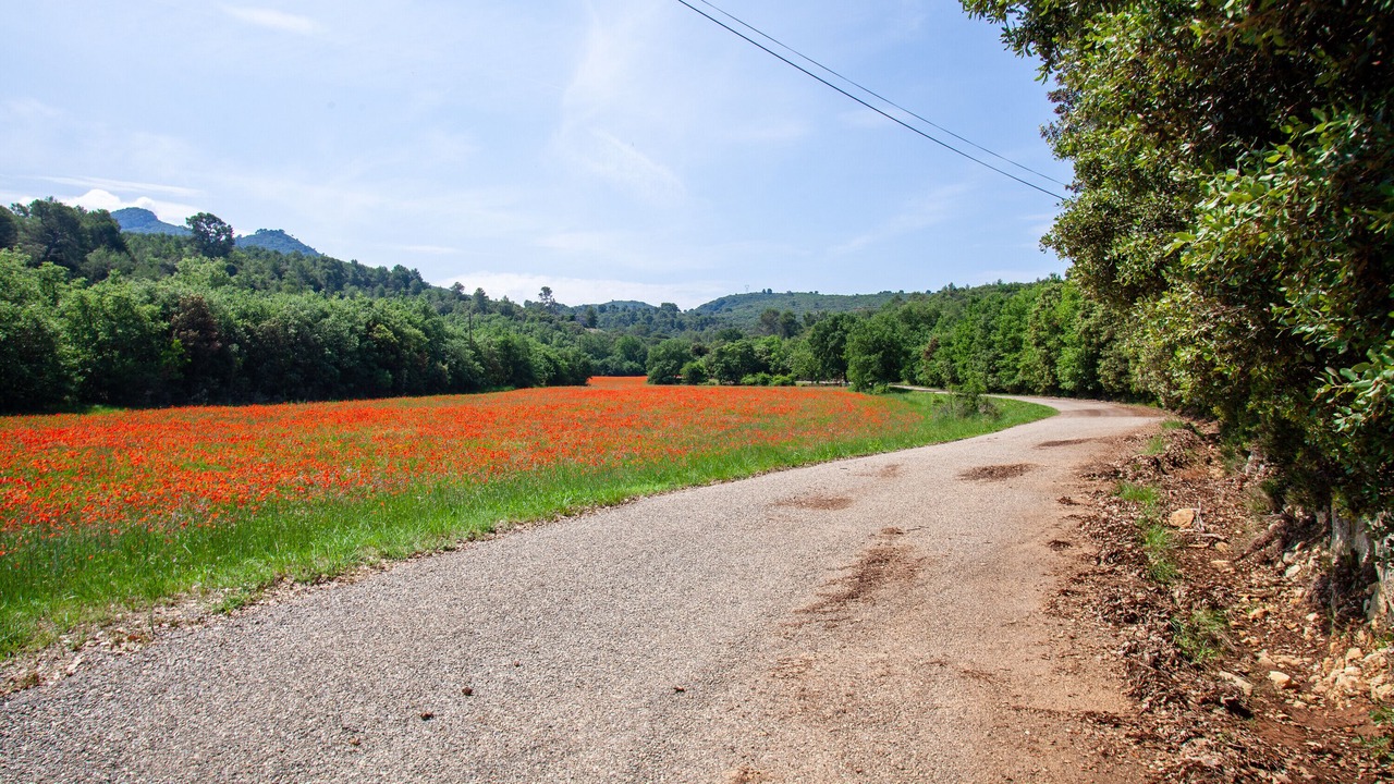 Photo of Outdoor in Peyrolles-en-Provence