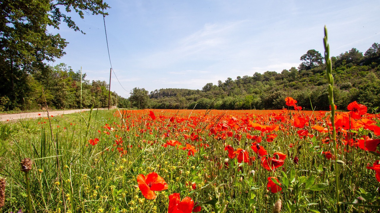 Photo of Outdoor in Peyrolles-en-Provence