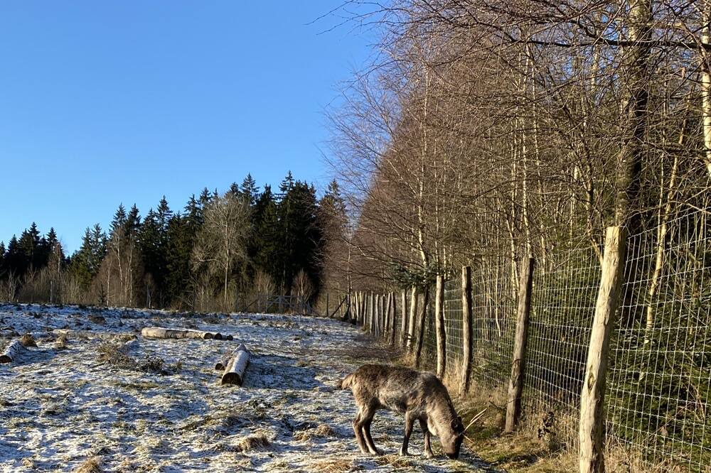 Photo of Others in Holzminden