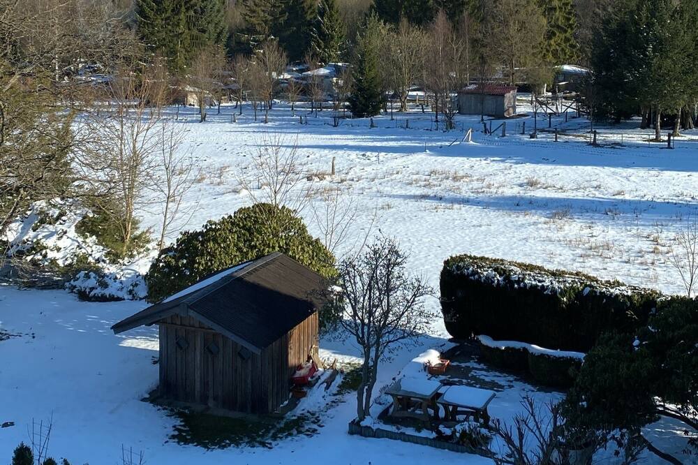 Photo of Others in Holzminden